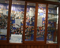 Library Display 2014